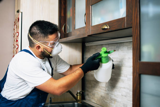 Best Termite Control Services  in Hydro, OK