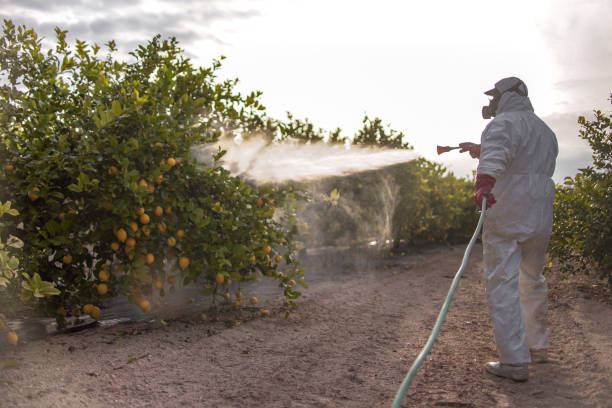 Best Termite Control Services  in Hydro, OK