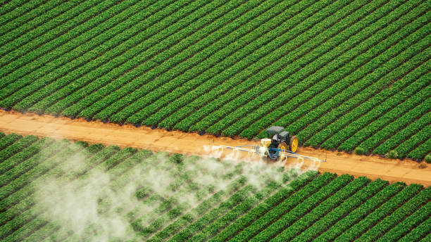Best Best Pest Control Companies  in Hydro, OK