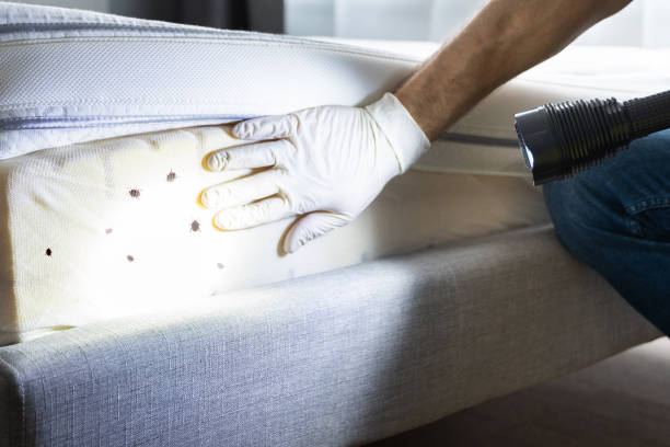 Trusted Hydro, OK Pest Control Experts