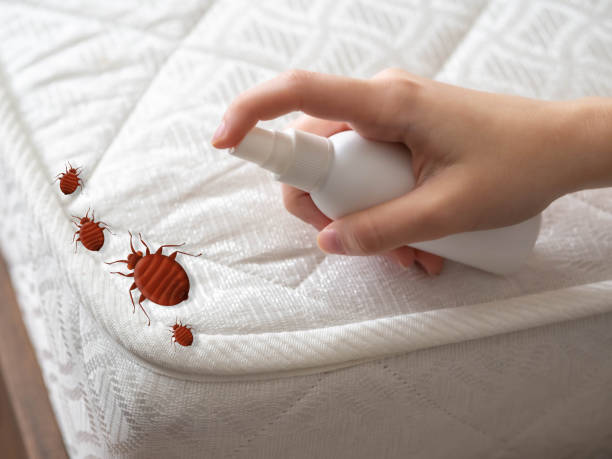 Best Residential Pest Control  in Hydro, OK
