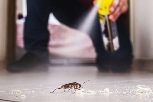 Best Pest Control Near Me in Hydro, OK