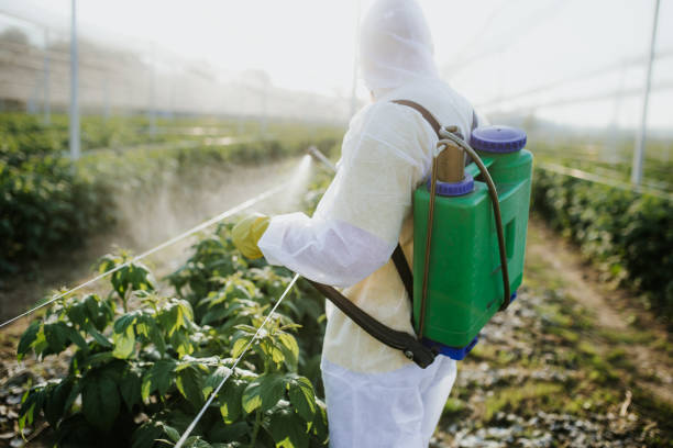Best Best Pest Control Near Me  in Hydro, OK